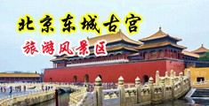 大鸡巴狂插美女嫩逼好爽舔我视频中国北京-东城古宫旅游风景区